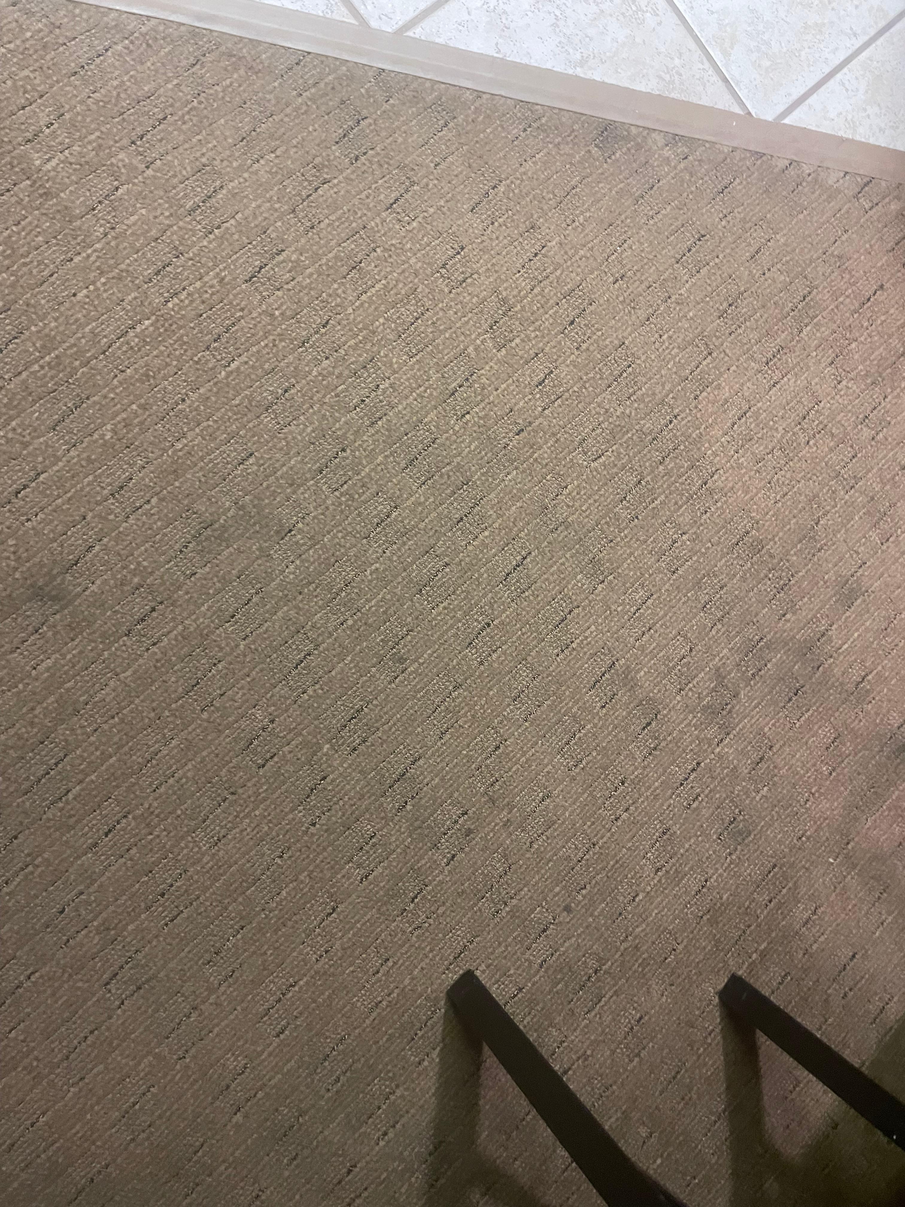 Stained carpet and couch