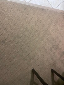 Stained carpet and couch