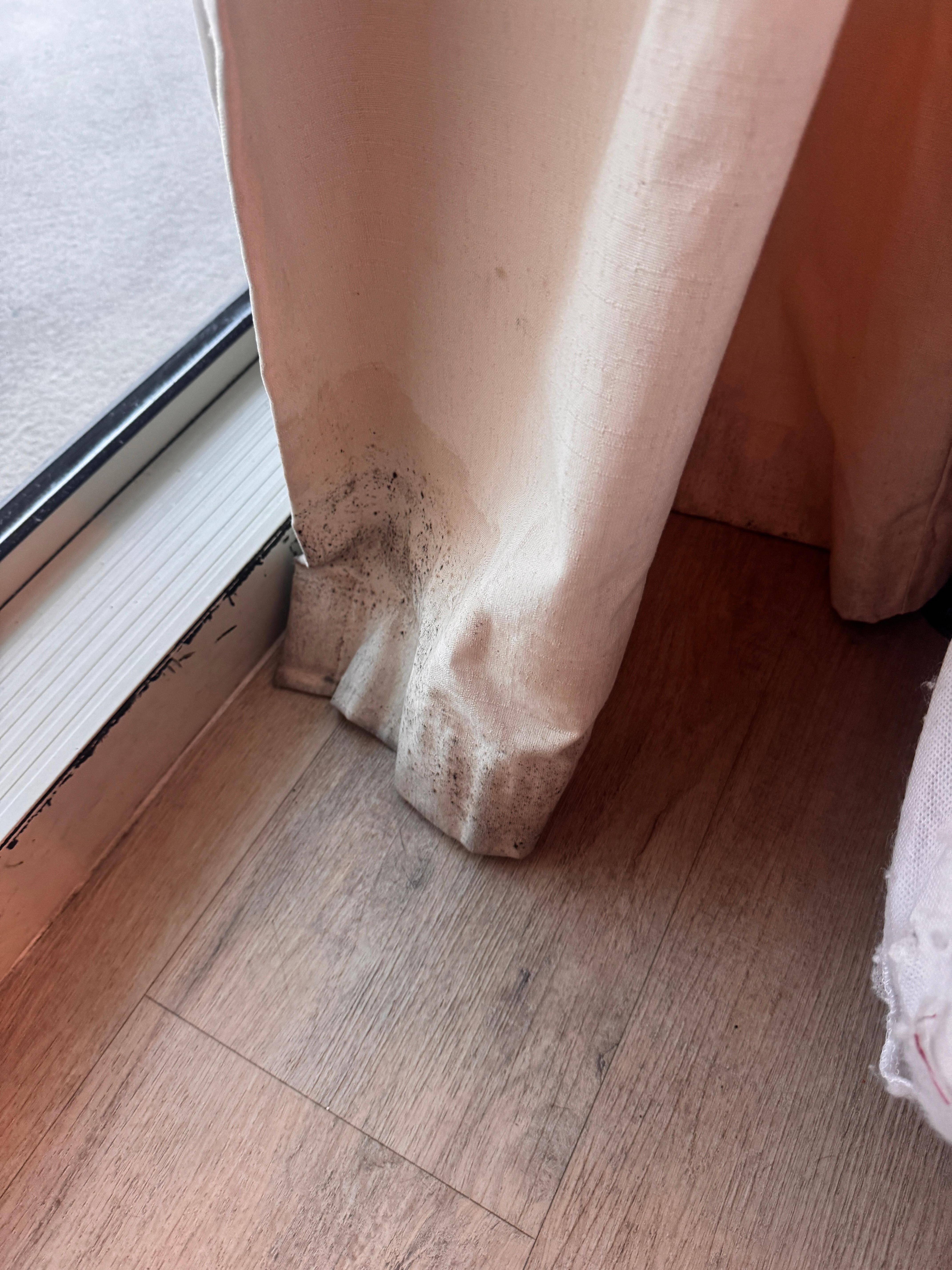 Lagoon balcony mold on bottom and was up against the bed