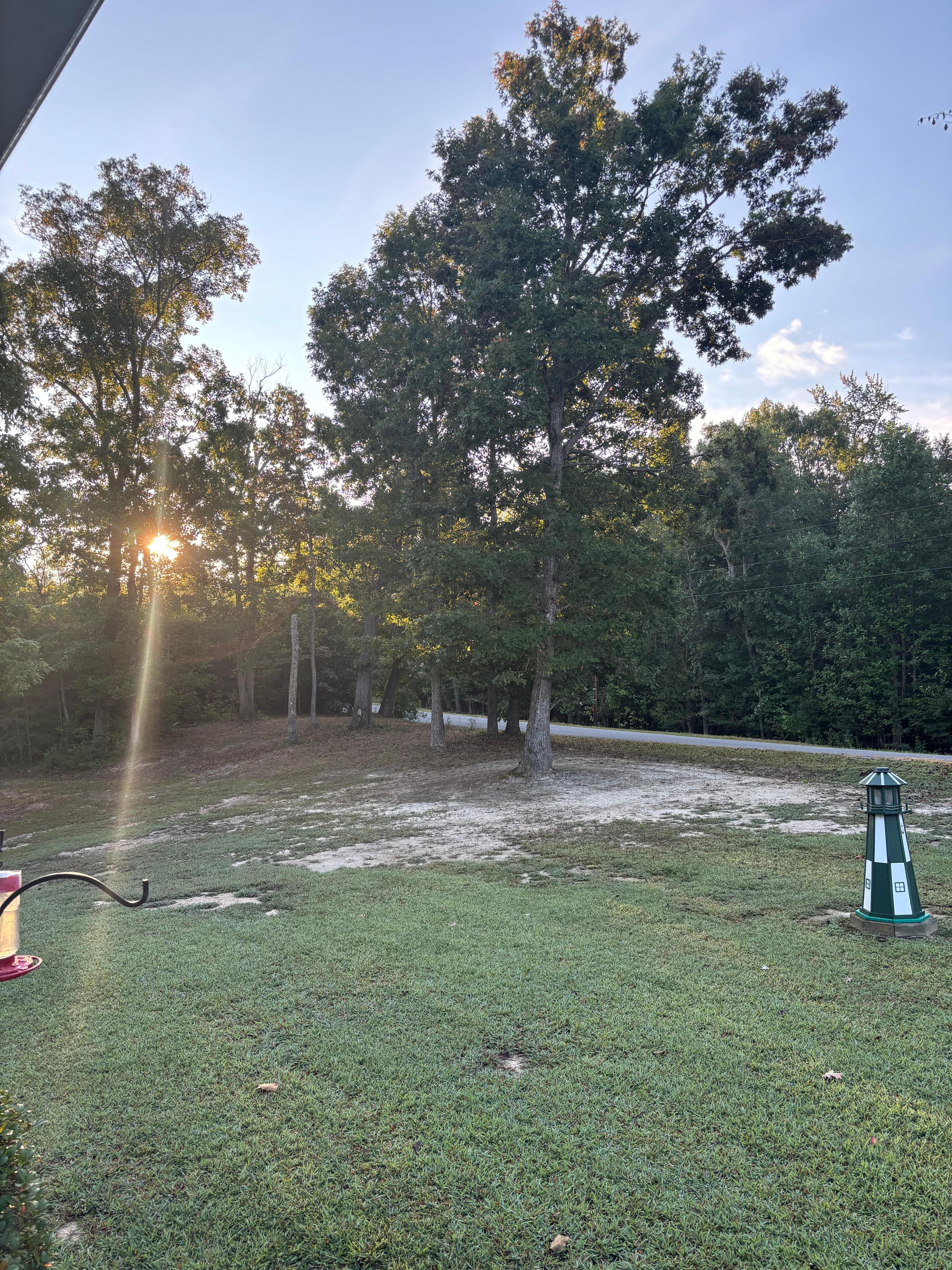 Perfect place for morning tea or afternoon reading. 