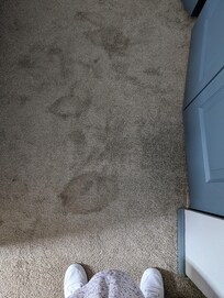 Bedroom carpet