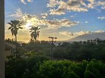 Pics from the lanai