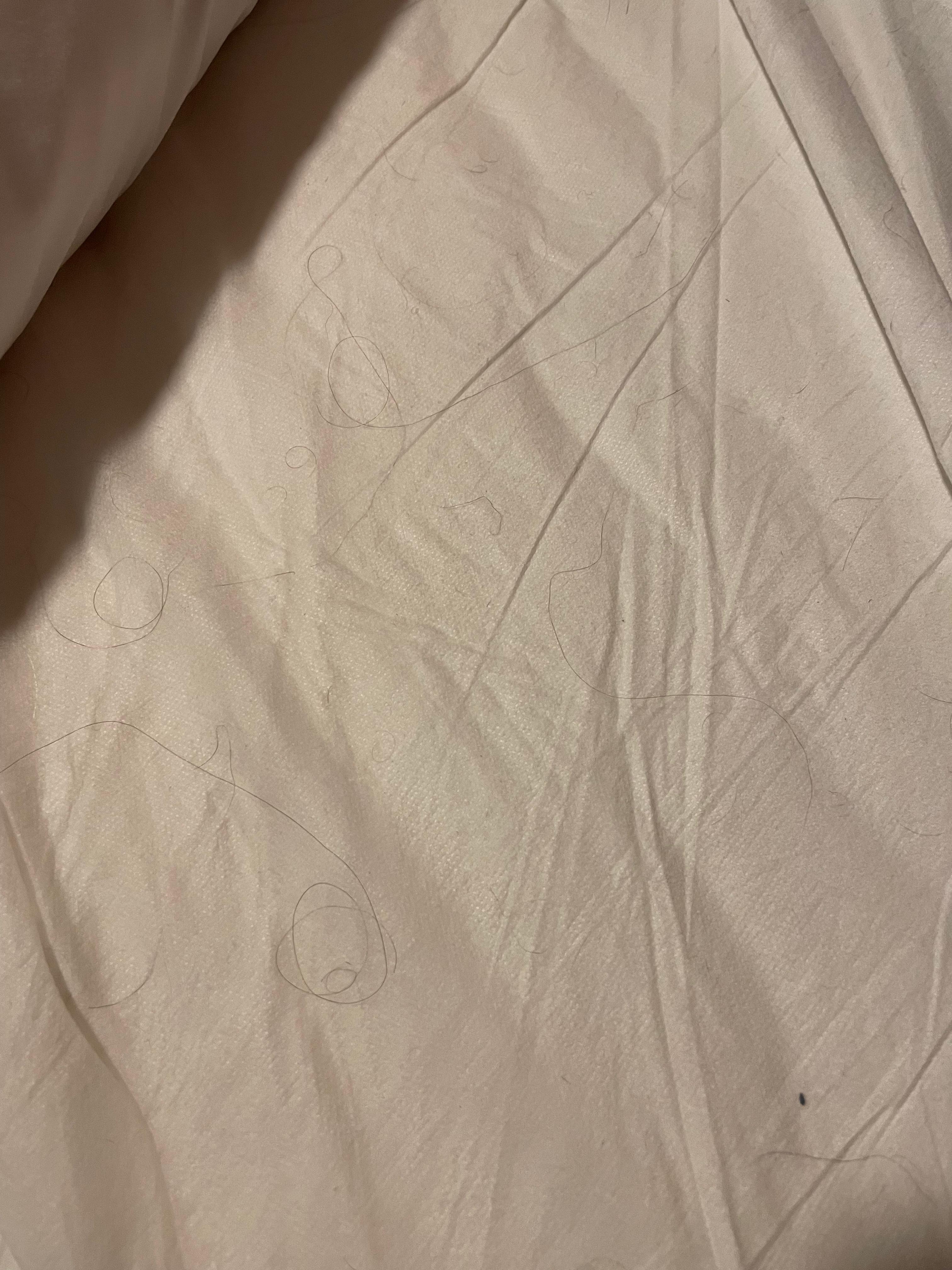 Cheveux dans les draps 