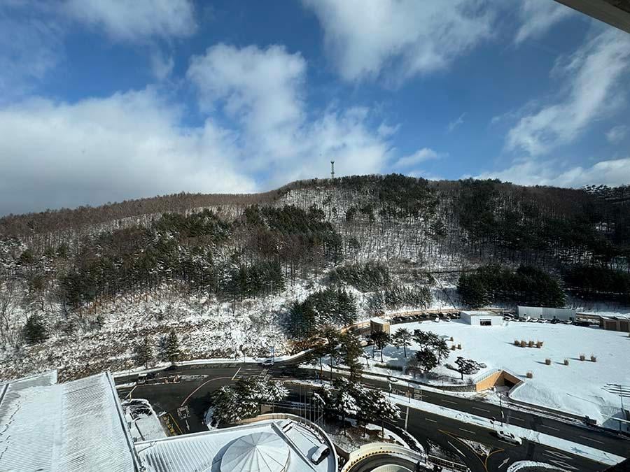 View from hotel window