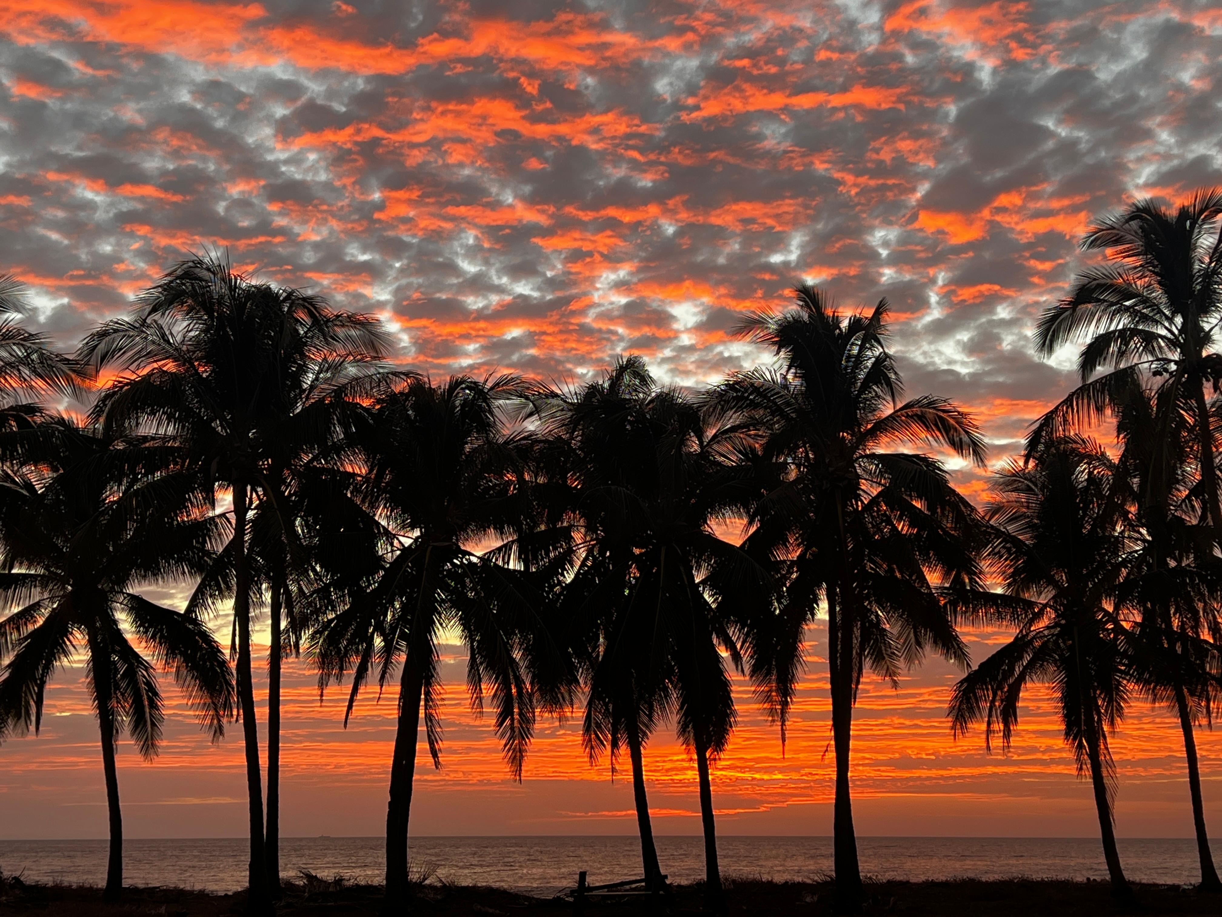The sunset at the beach 