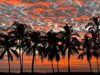 The sunset at the beach