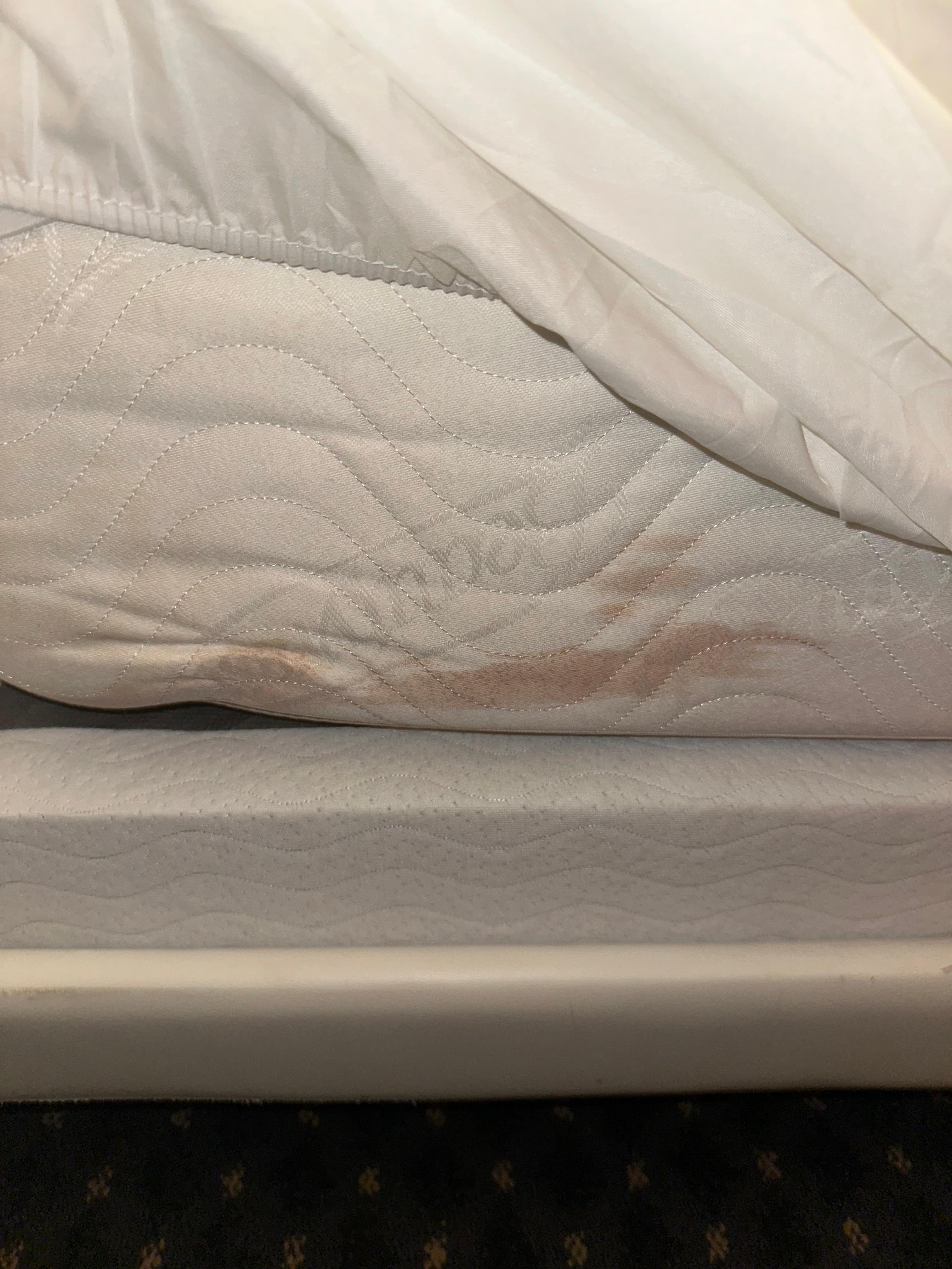 Stains on bedding/matress