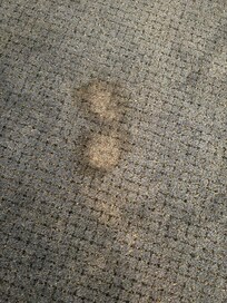 Vomit stains