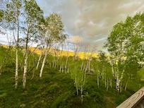 View from the bedroom balcony