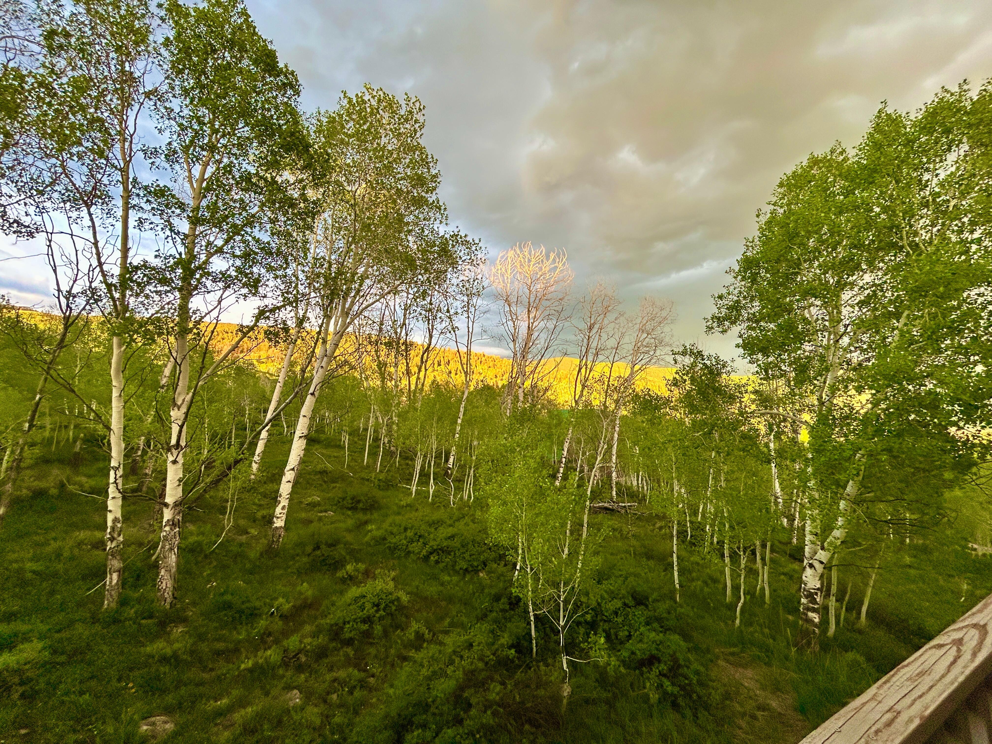 View from the bedroom balcony