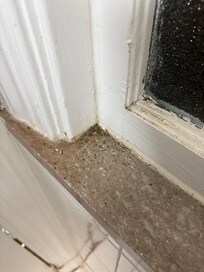 Bathroom window
