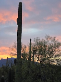 Sunrise from home
