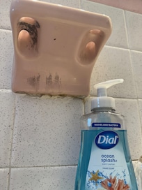 Mold in the bathroom