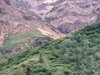 Denali bus tour