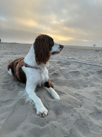 The beach just a 5 minute walk from the Beach House.