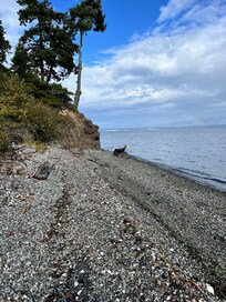 The beach!