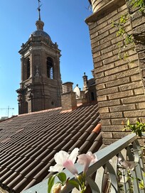 Balcony with flowers
