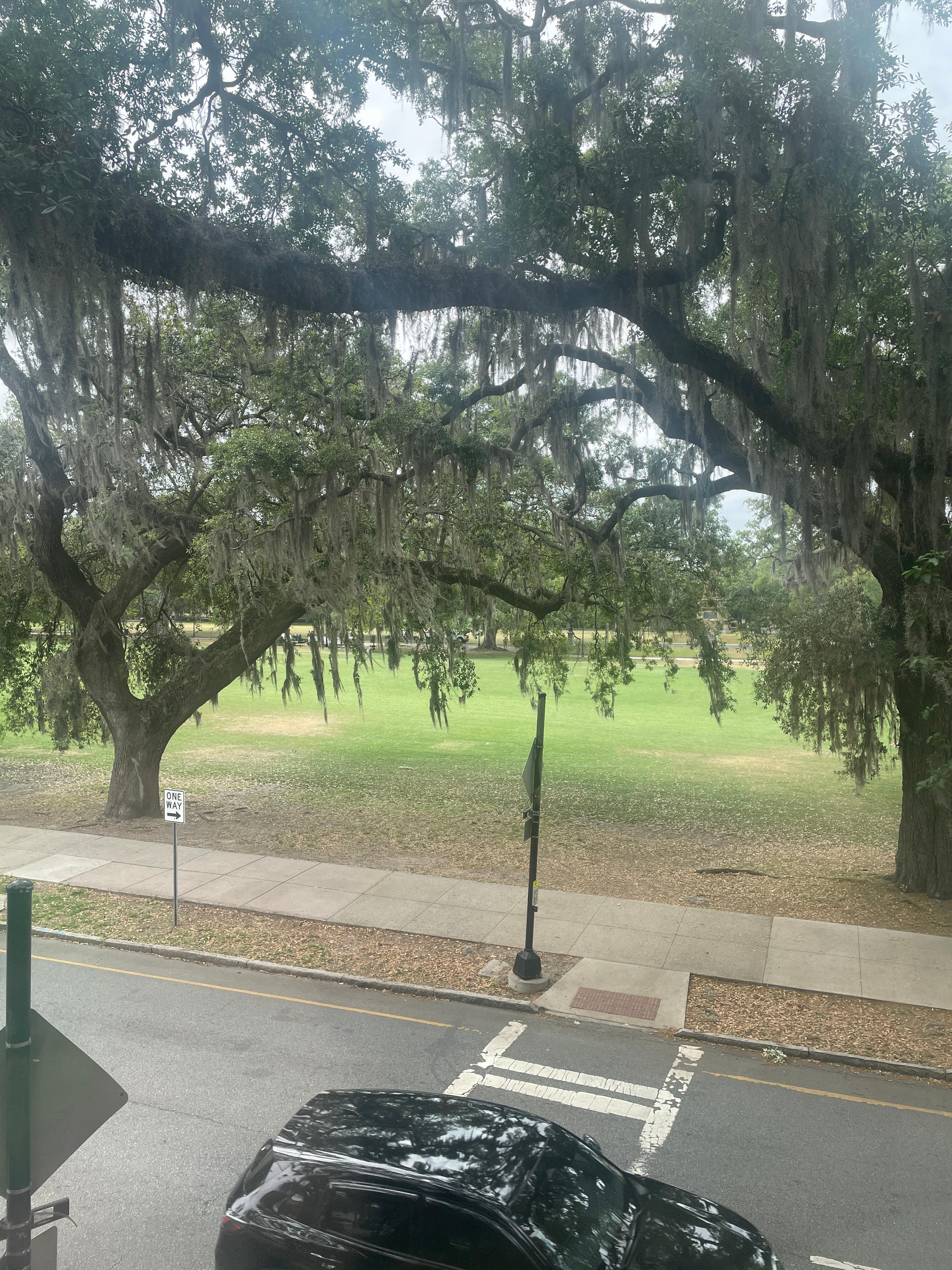 View from 2nd floor corner suite