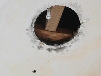 moldy leak