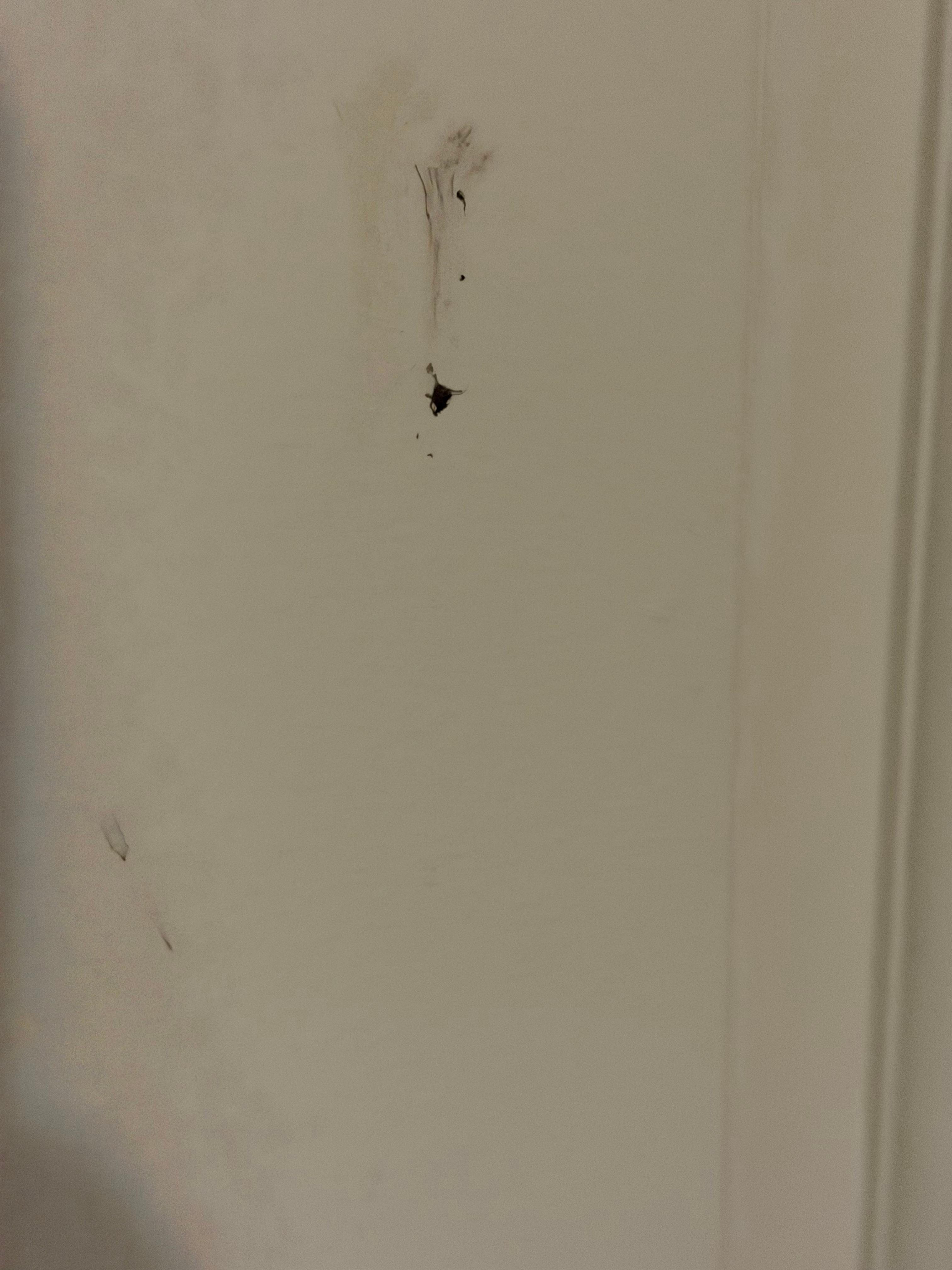 Smashed bugs left on the door