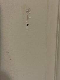 Smashed bugs left on the door