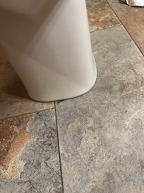 Second day the worms were in the upstairs bath room. 1 or 2 everyday