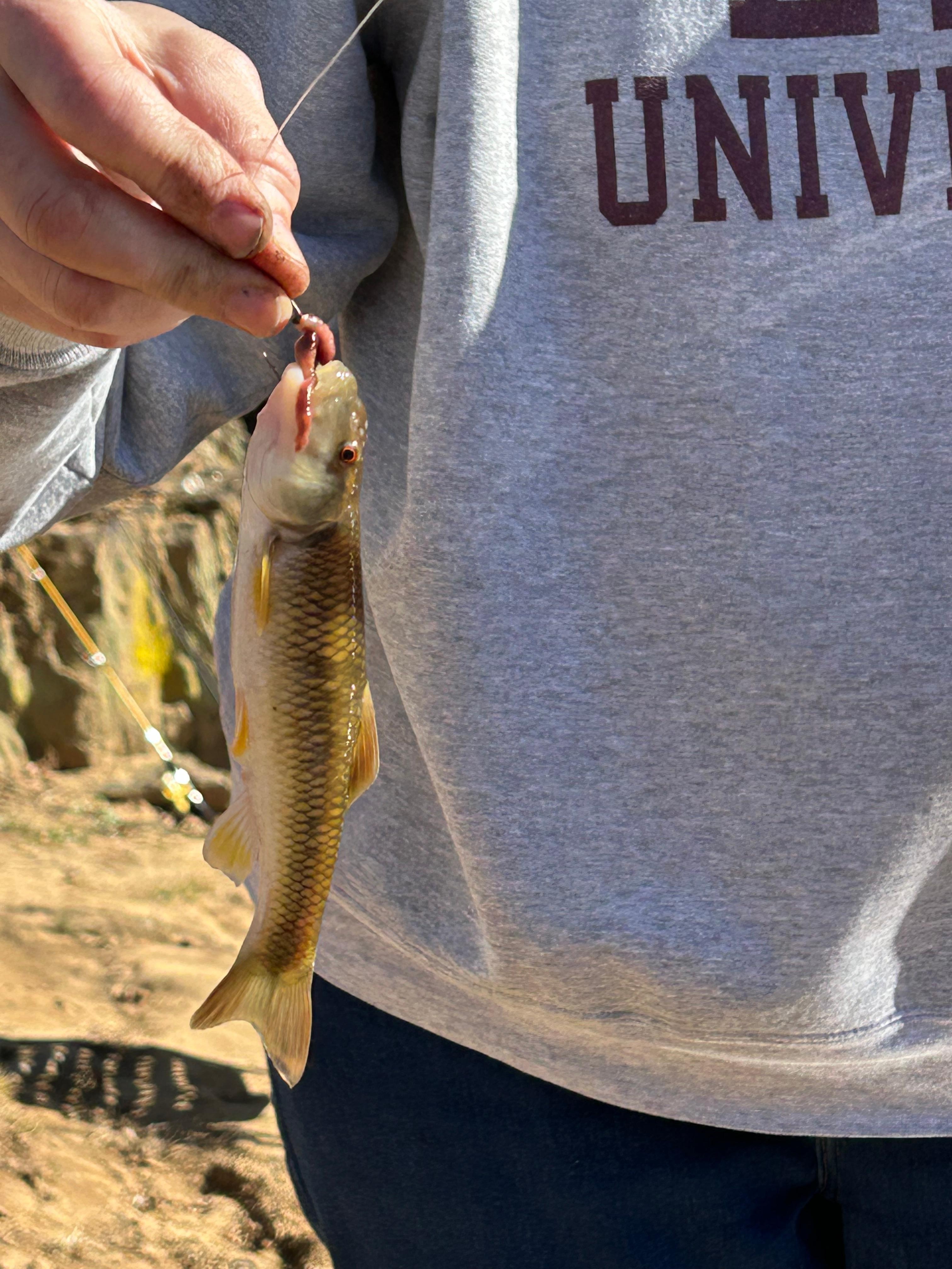 Never to clod to Fish