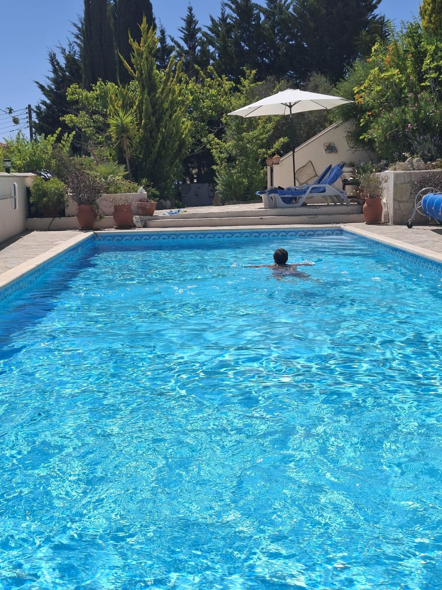 Beautiful pool to swim in