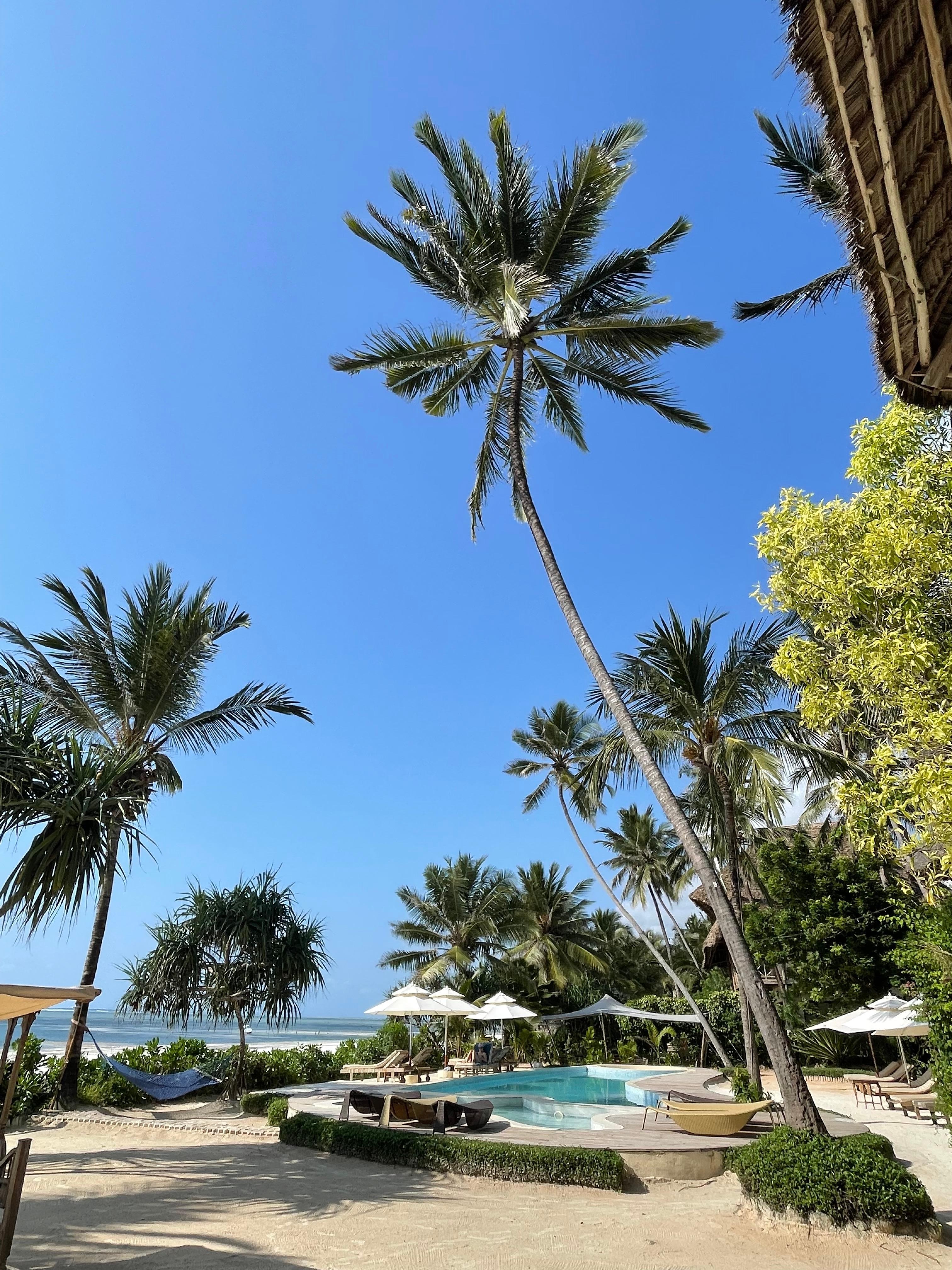 Pool area
