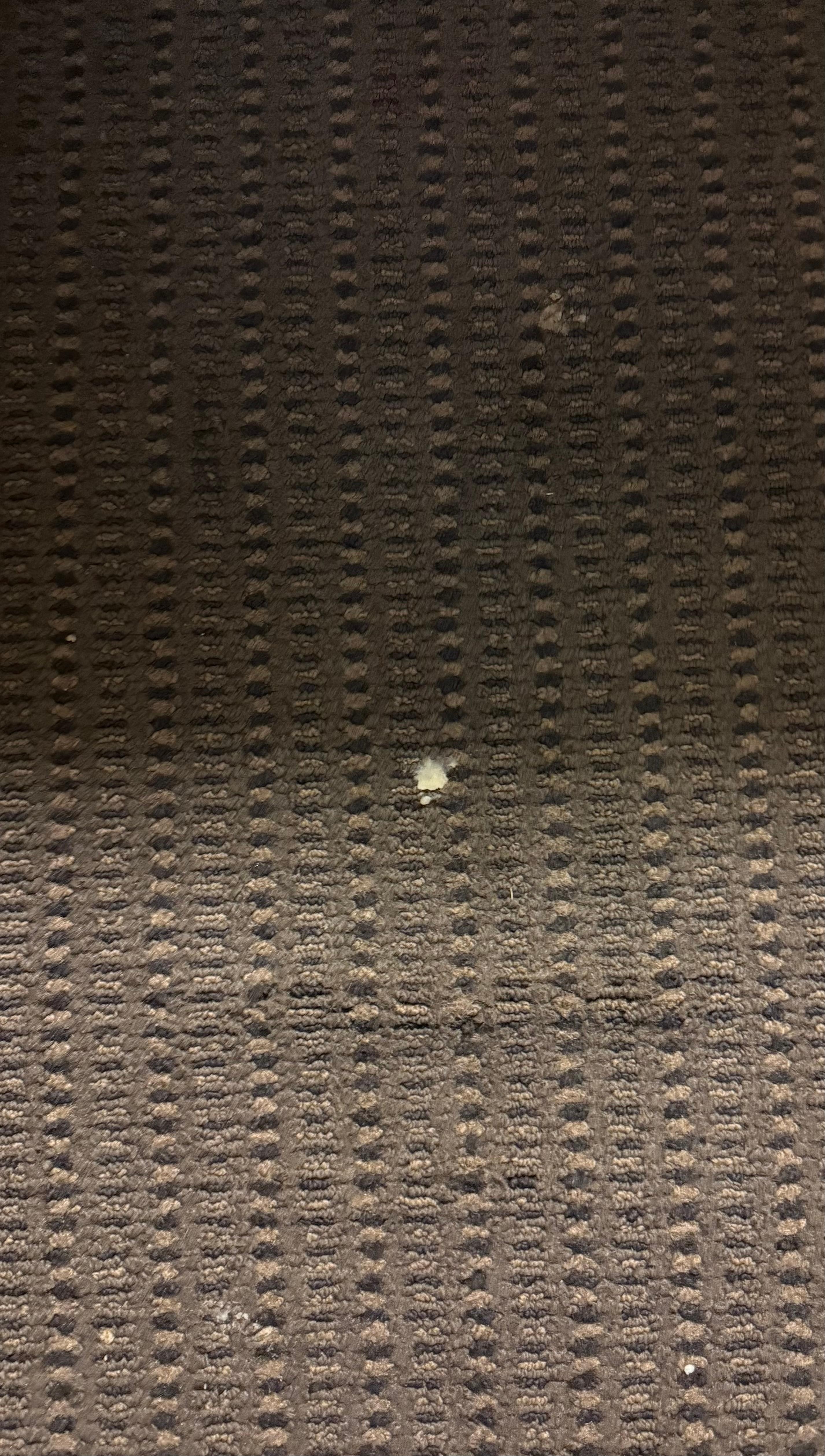 Crusty stuff on carpet 