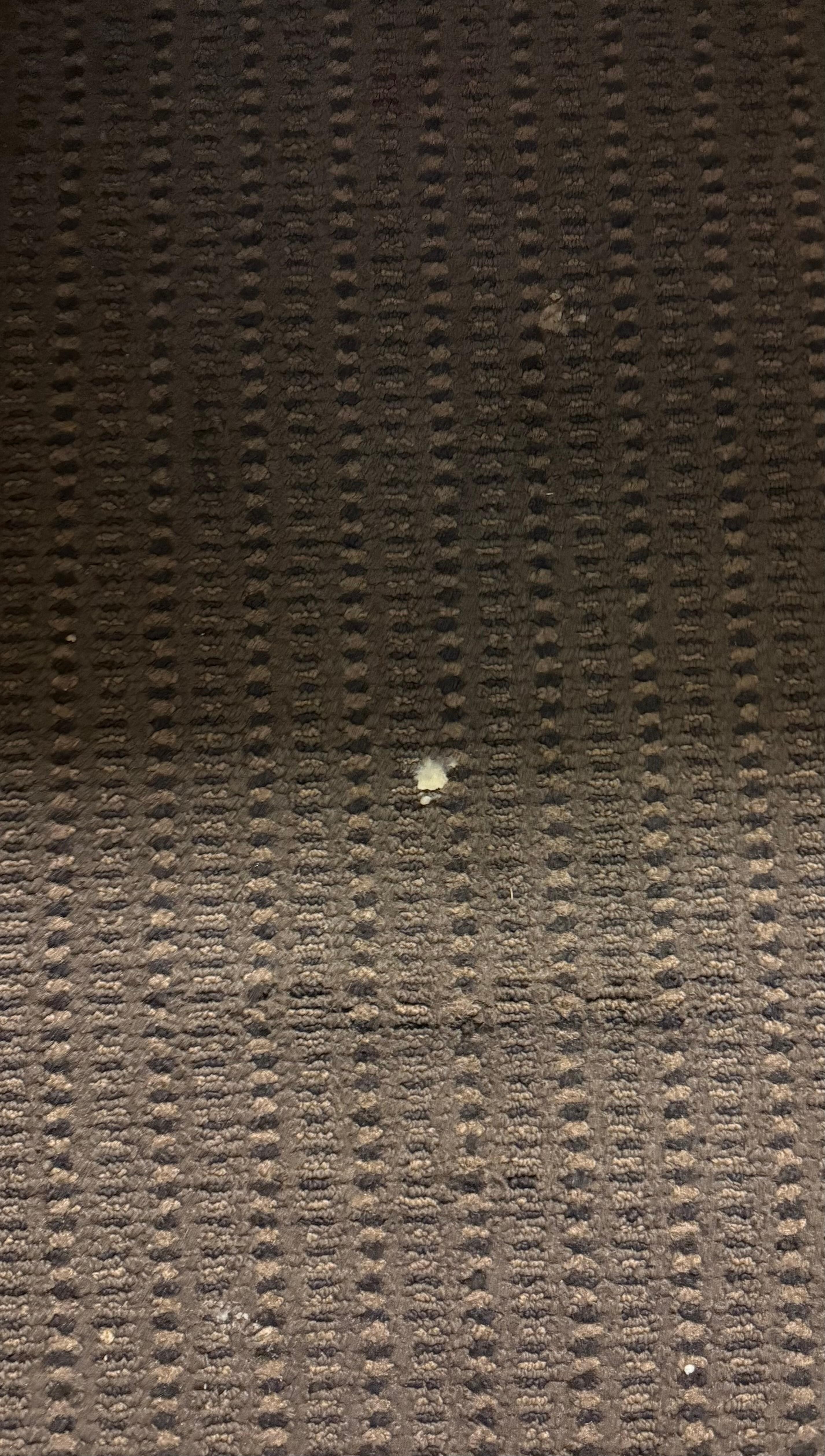 Crusty stuff on carpet 