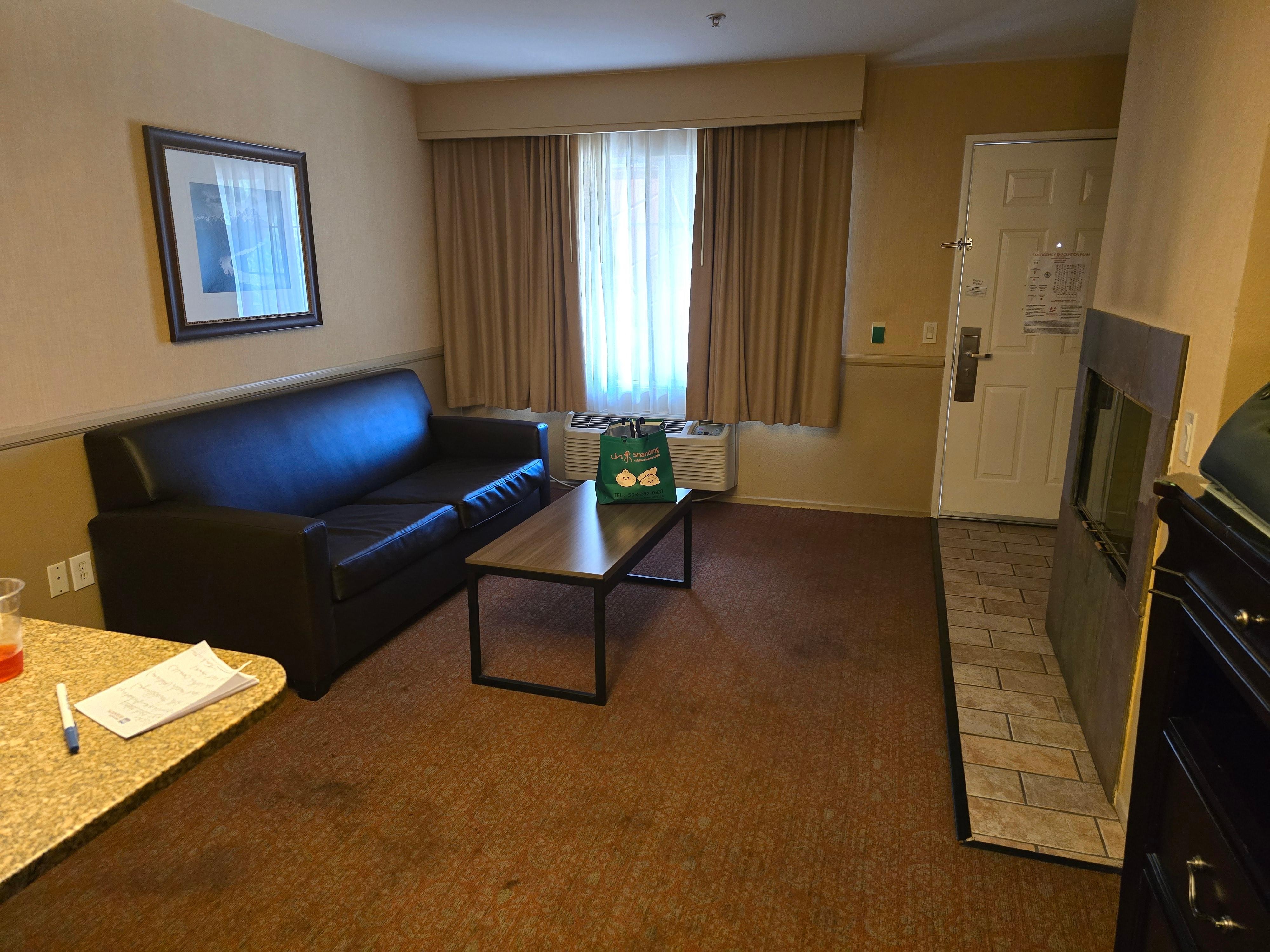 Room 231, sleeper couch