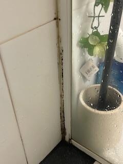 Notice the black mold in shower and through the glass you can see a decorative vine that still has pricetag attached.