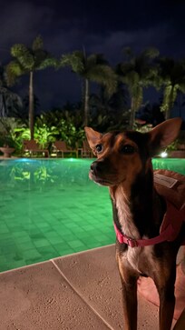 Luiza foi muito feliz la