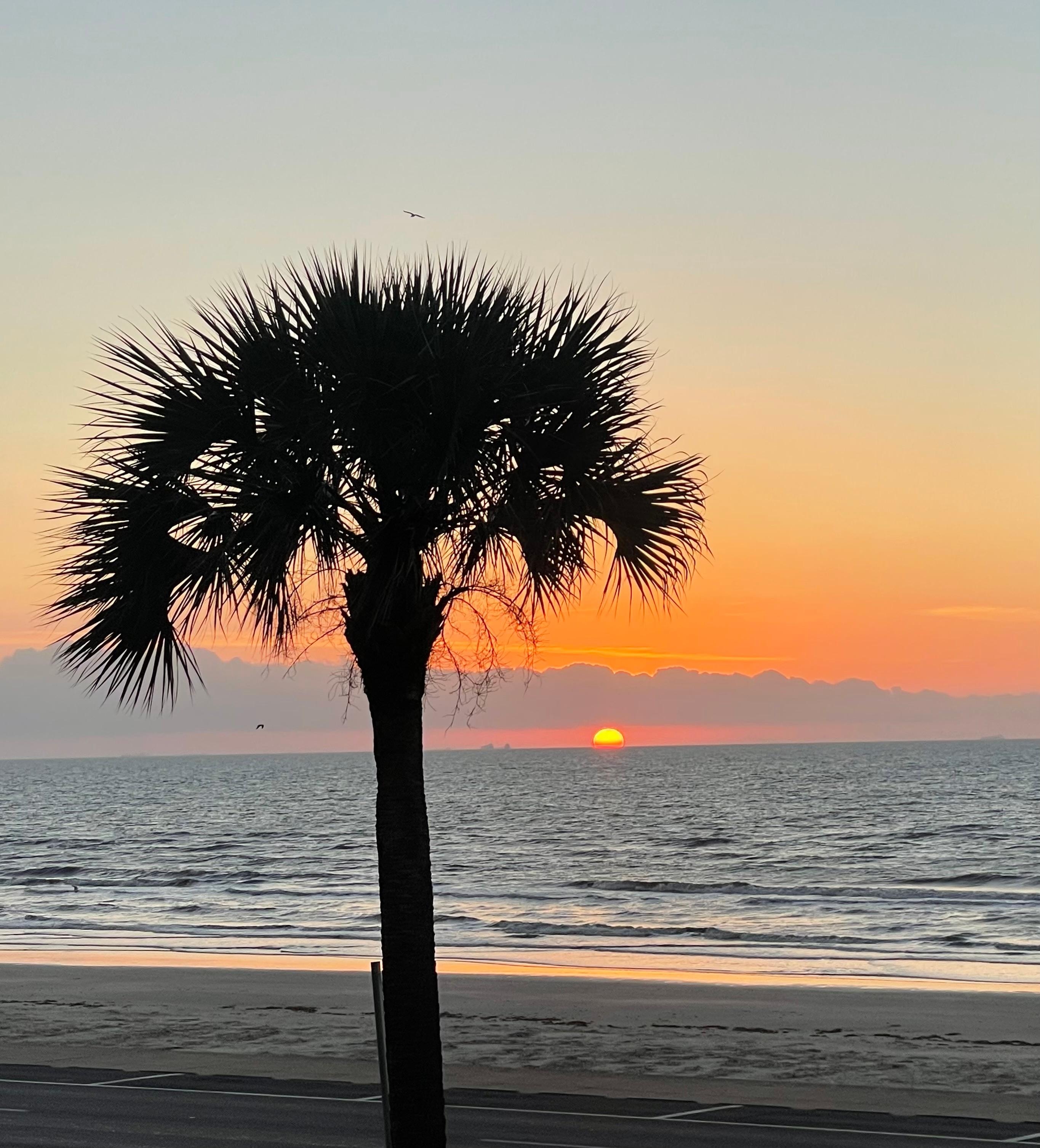 Great balcony to watch the sun rise 