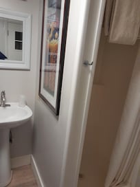 Sink and shower view from the back door.