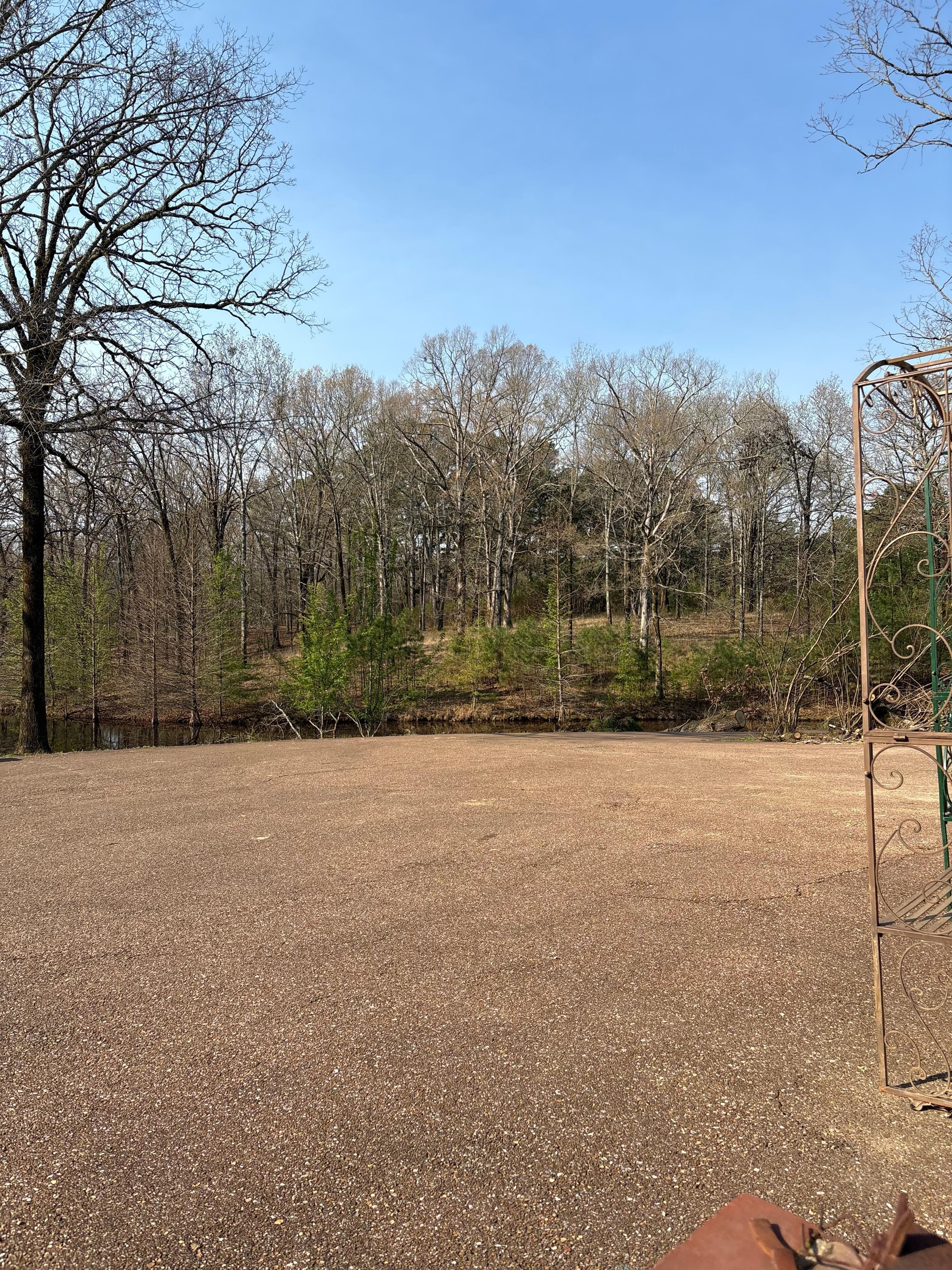 Looking around the property 