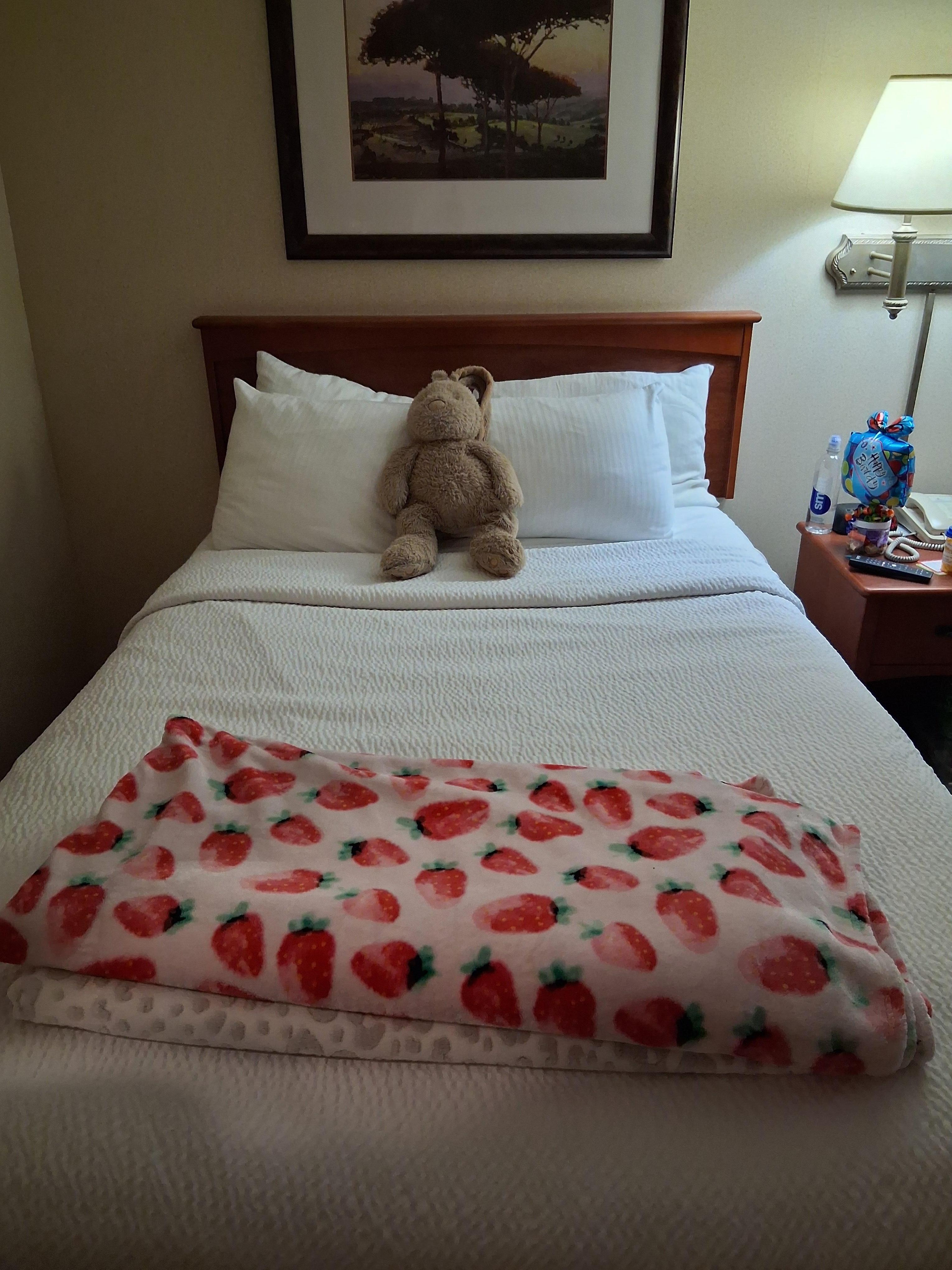 Here they folded my kiddos blankets and put the bear neat on the kids bed, didn't have to but they did, always going the extra mile! 🫶