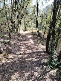 Ballade dans les sous bois a côté de la grotte st Marcel