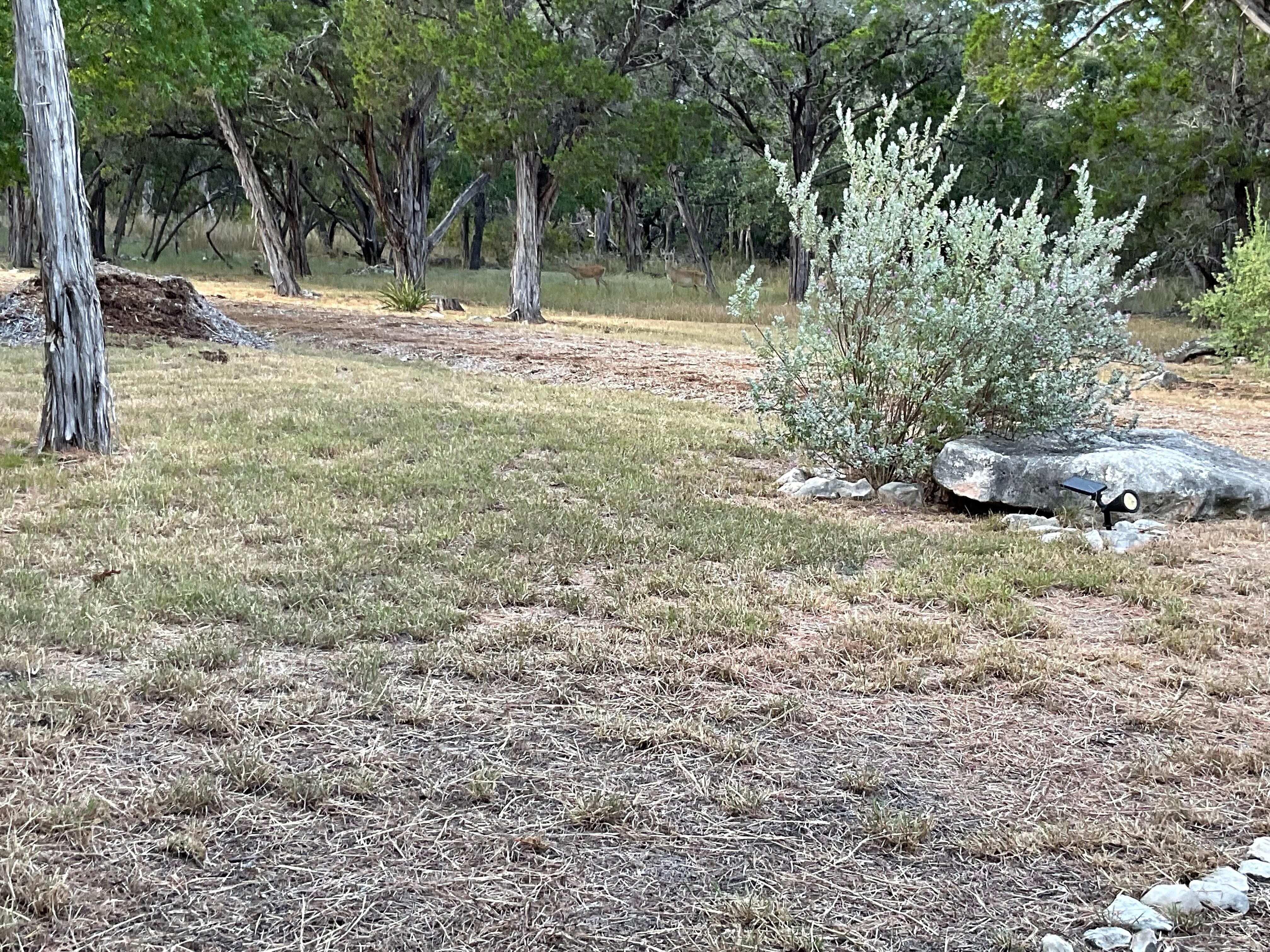 View from the front porch 