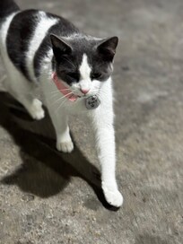 Gary is a cool cat that hangs out there…