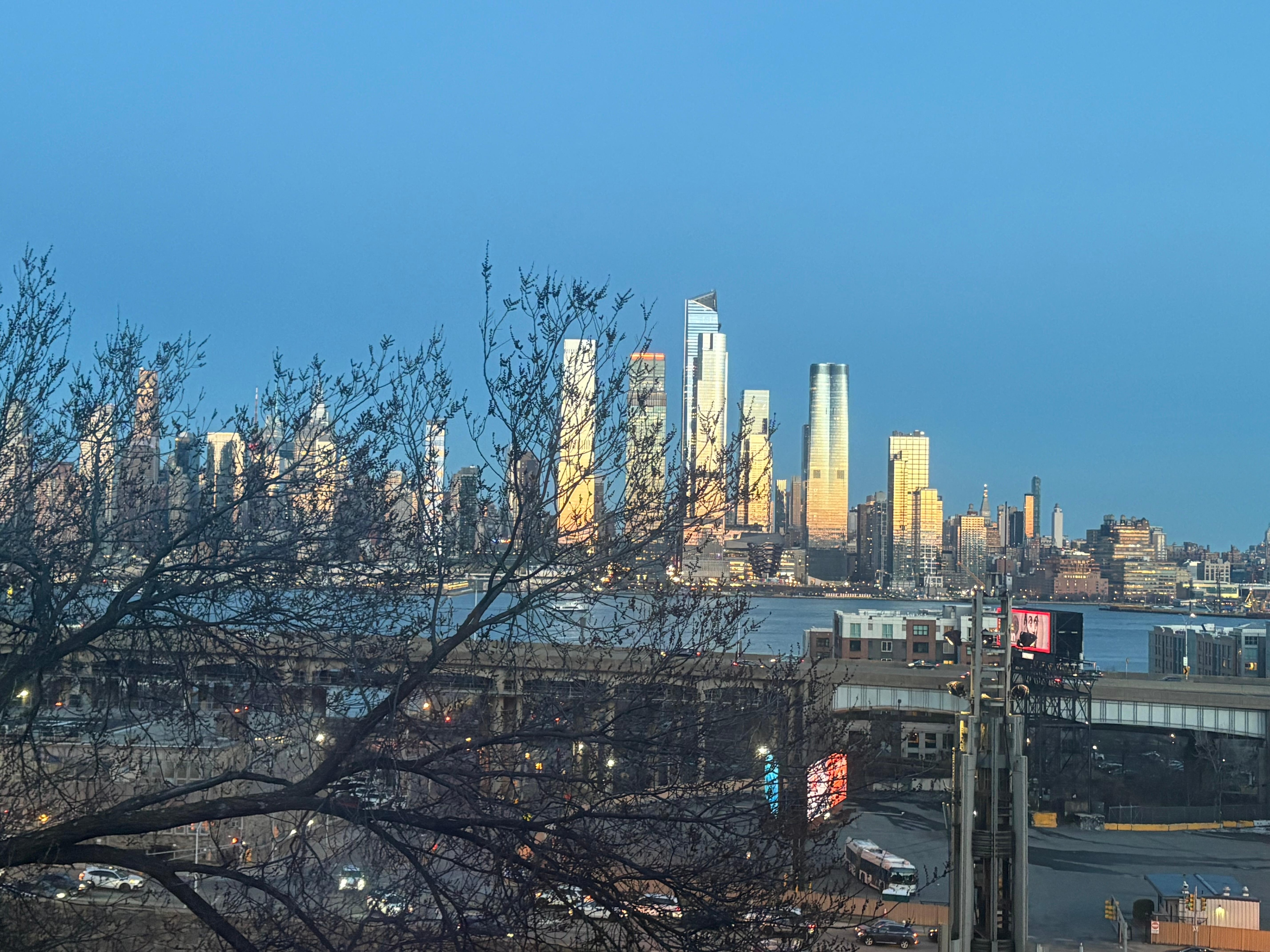 Outside our bedroom window 