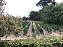 Vue depuis l’étage
