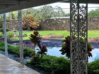 Backyard, beautiful even on a cloudy day.