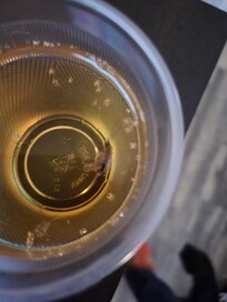 One found its way into our drinks