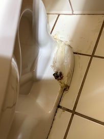Broken and moldy