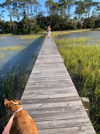 Dock