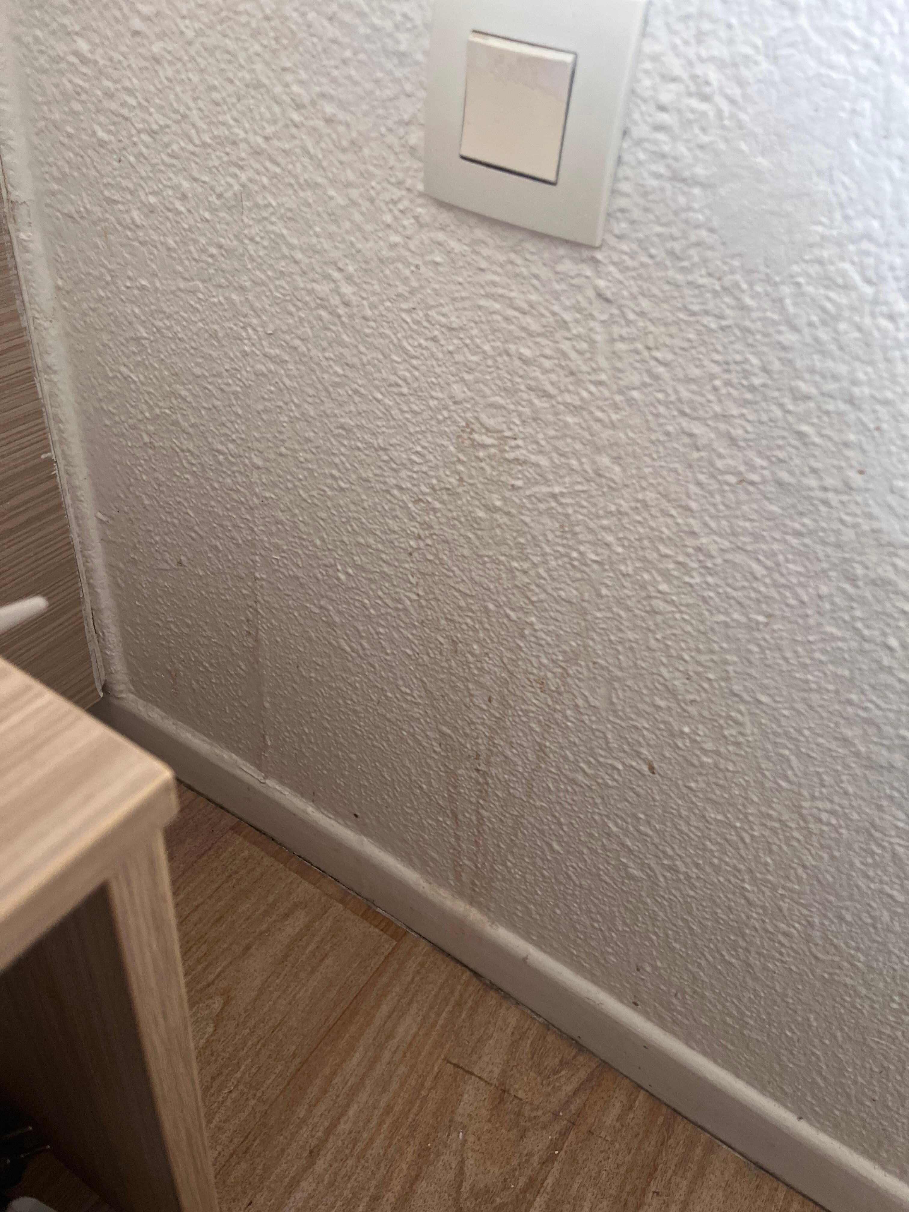 Une grosse trace de je ne sais quoi juste à coter du lit ! 