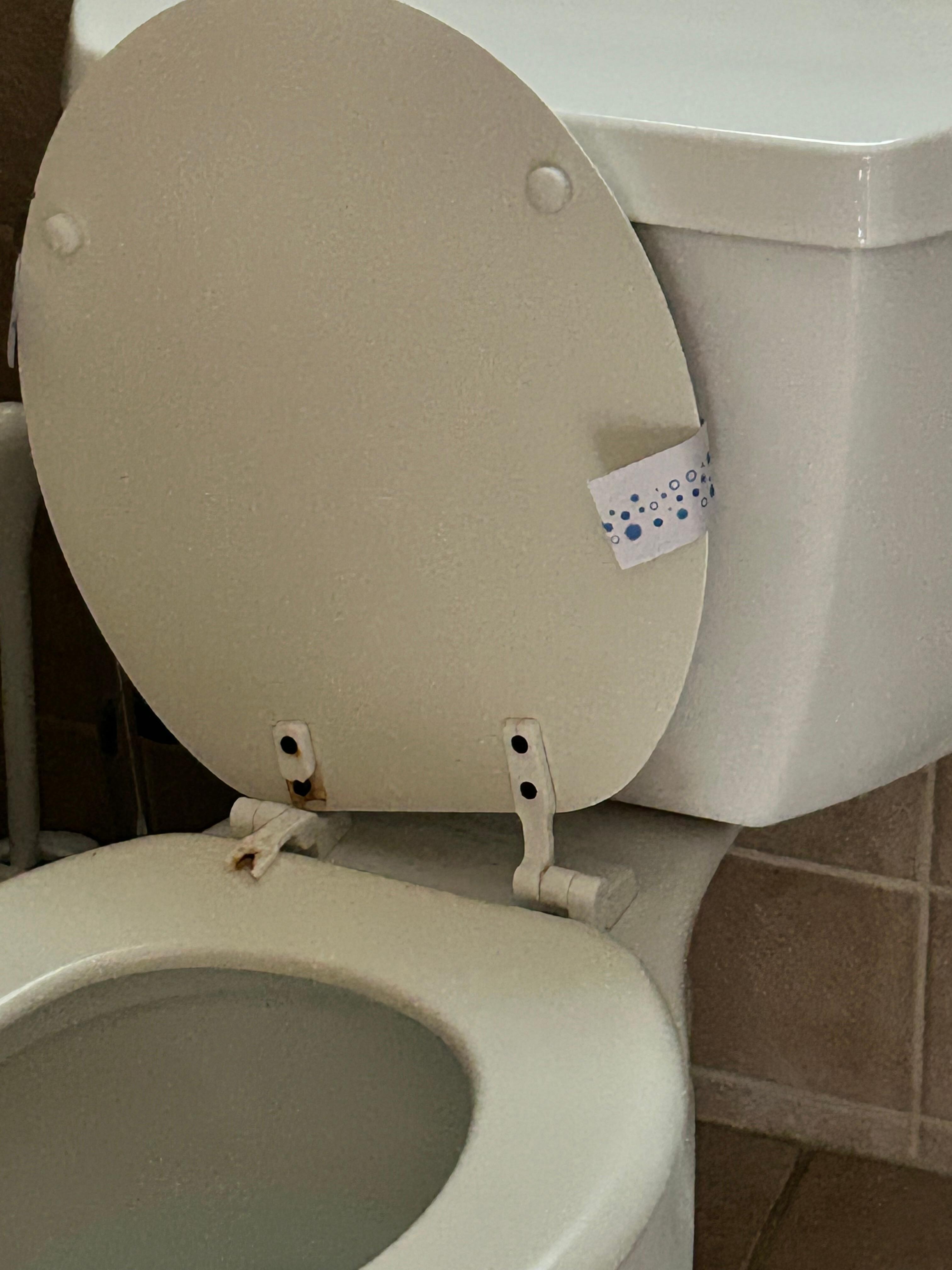 Toilet seat lid hinge broken