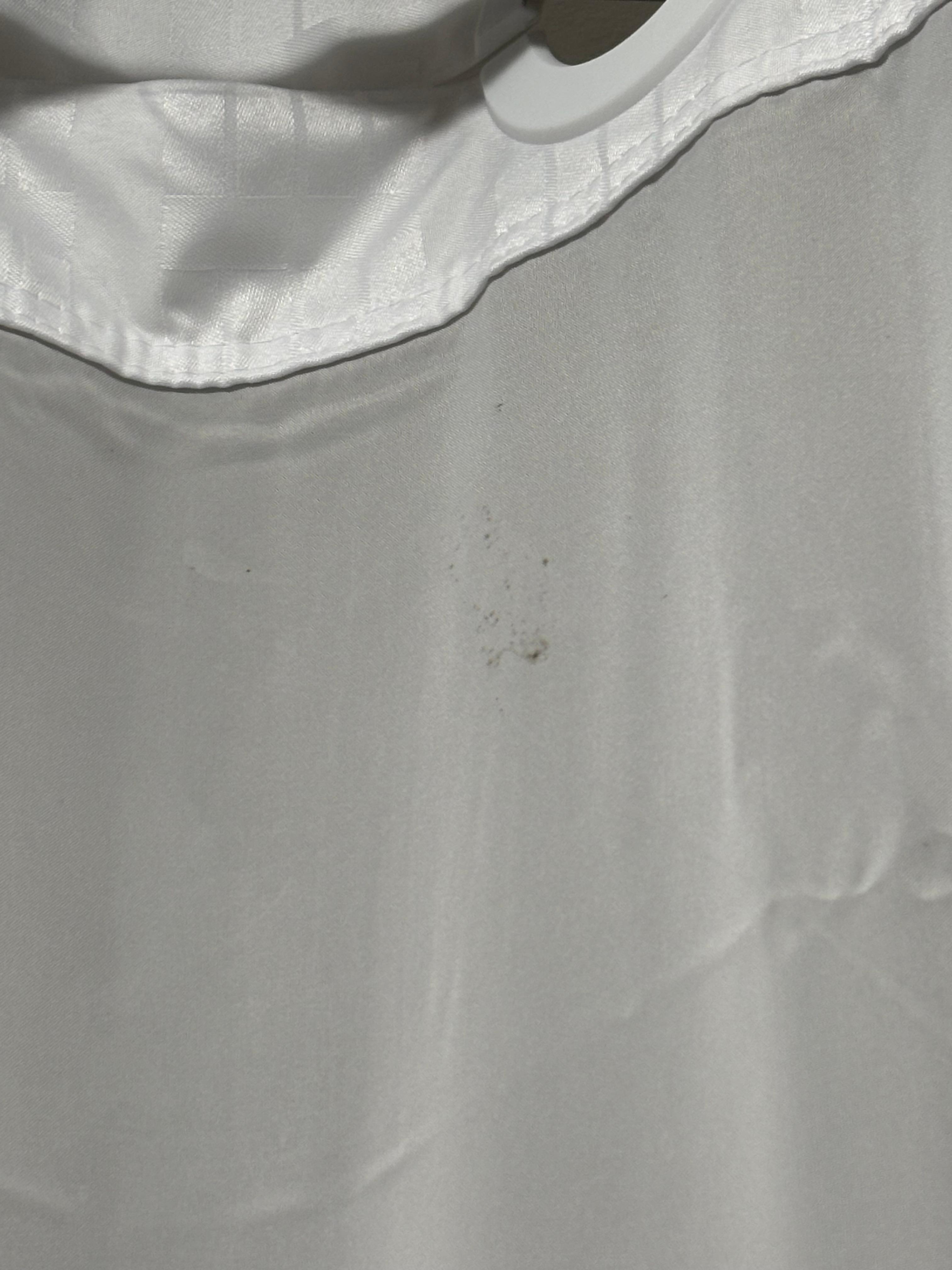 The usual substance on the shower curtain.